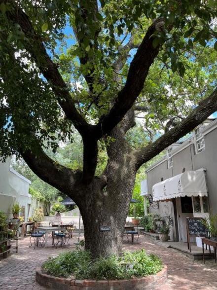 Cafe Felix & Old Oak Manor Riebeek-Kasteel Exterior foto