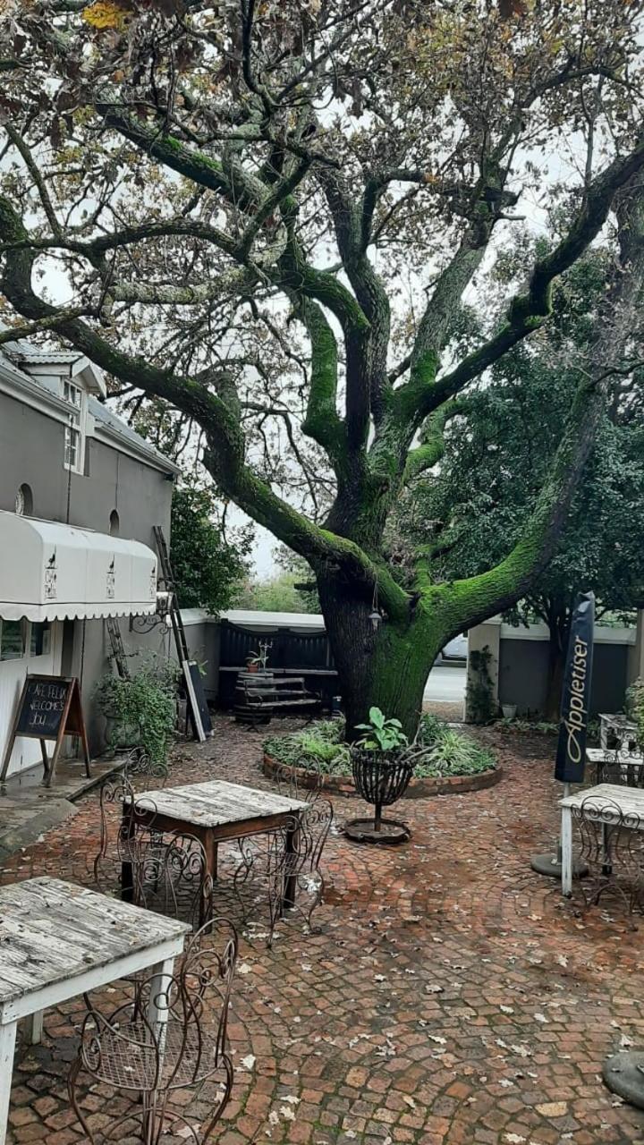 Cafe Felix & Old Oak Manor Riebeek-Kasteel Exterior foto